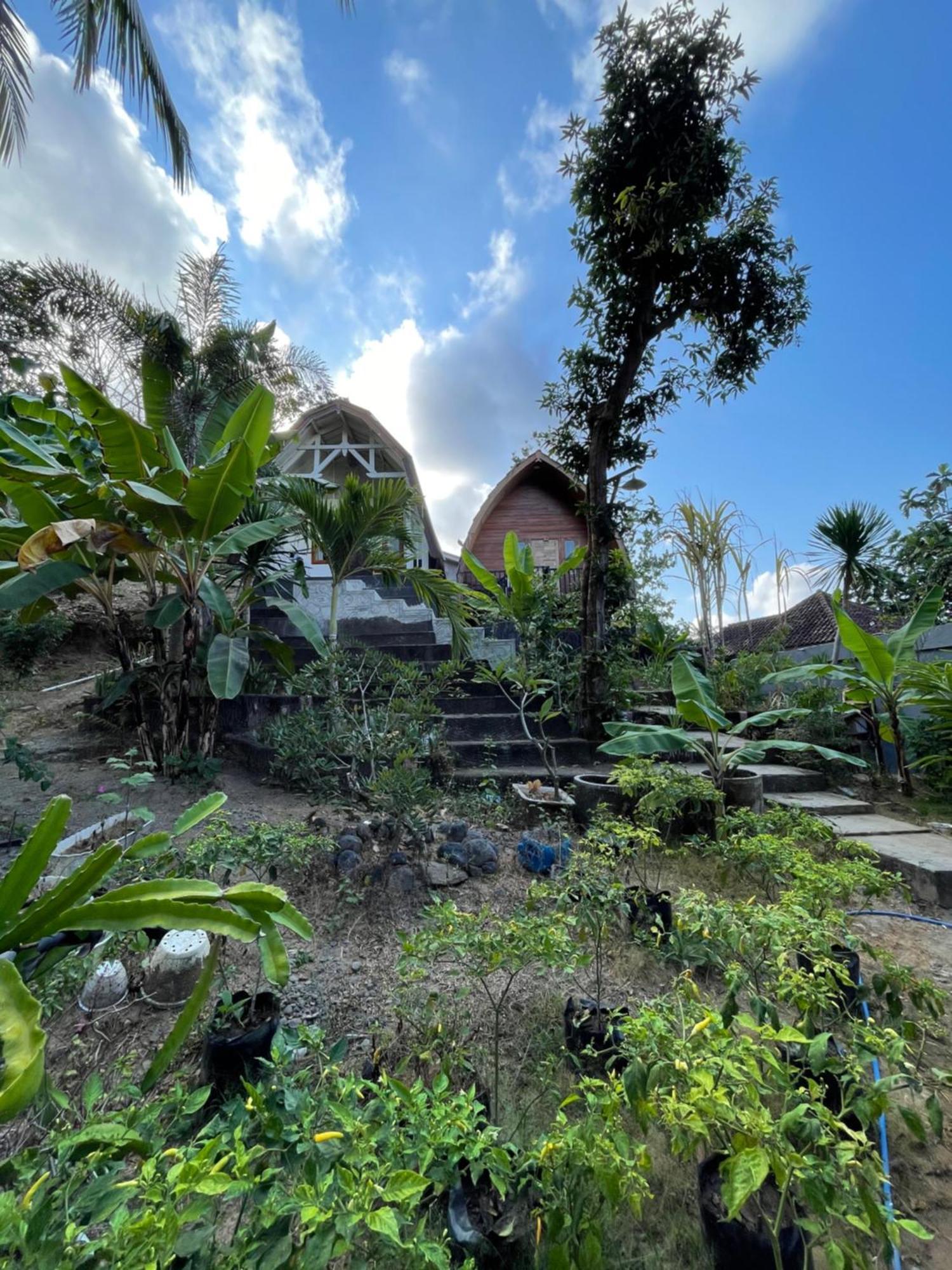 Tri Putri Homestay Kuta  エクステリア 写真