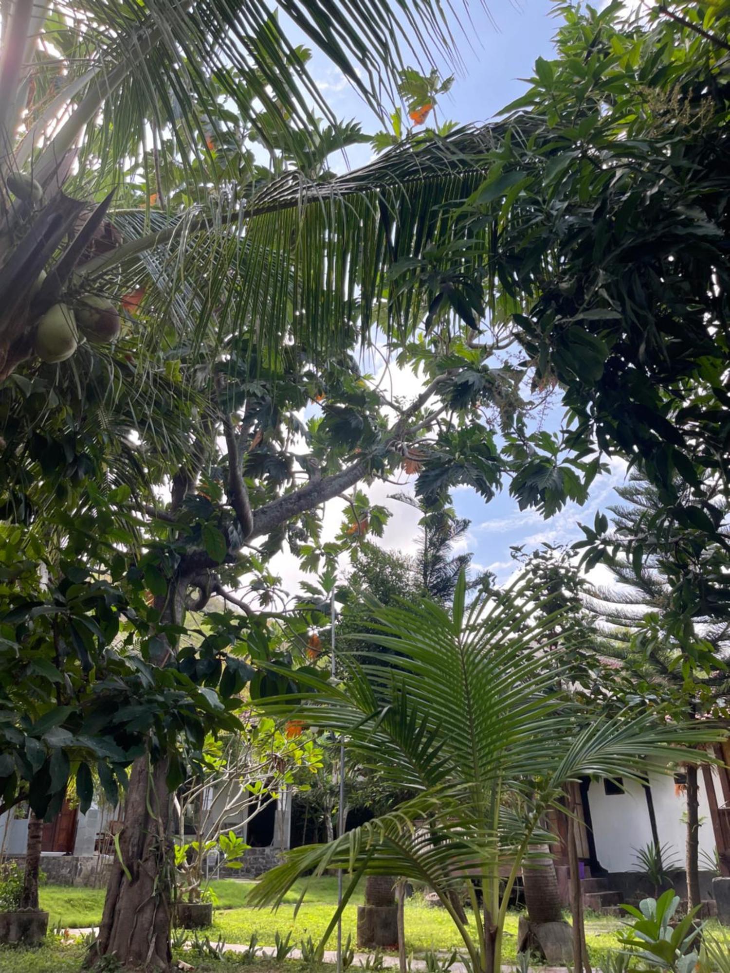Tri Putri Homestay Kuta  エクステリア 写真
