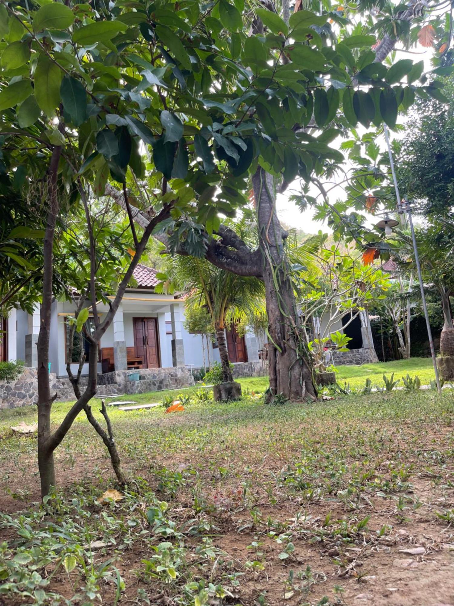 Tri Putri Homestay Kuta  エクステリア 写真